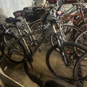 2009 Specialized Rockhopper Comp 29 Yellow or Gold and Brown