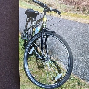 2010 GT Bicycles Traffic 3.0 Green