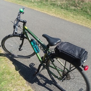 2010 GT Bicycles Traffic 3.0 Green