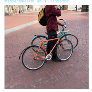 2013 Fuji Feather Orange