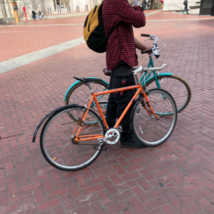 2013 Fuji Feather Orange
