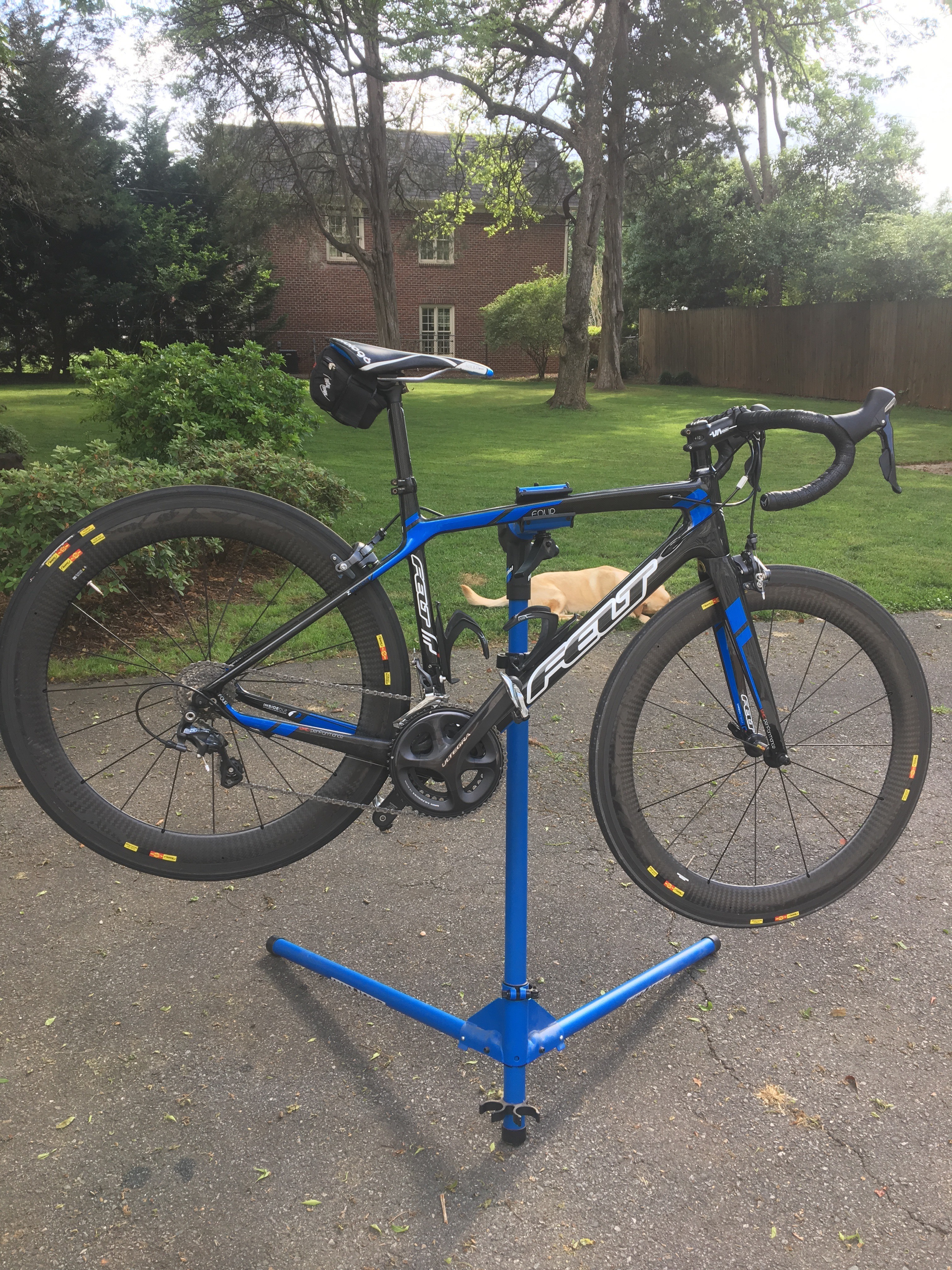 felt z4 carbon