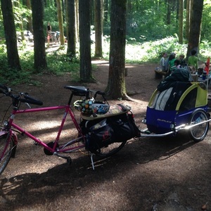 1990 Specialized Xtracycle Pink
