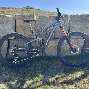 2024 Trek Fuel EX Silver, gray or bare metal