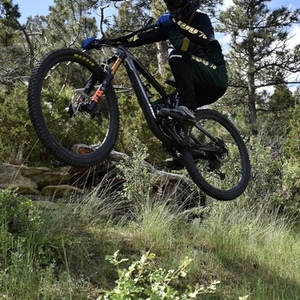 2024 Trek Fuel EX Silver, gray or bare metal