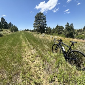 2024 Trek Checkpoint SL6 Blue