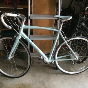 2014 Novara Carema Teal and White