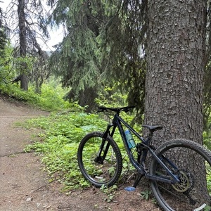 2023 Norco Bikes Fluid FS2 Blue