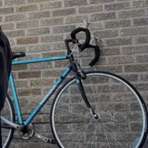 Raleigh Usa Blue