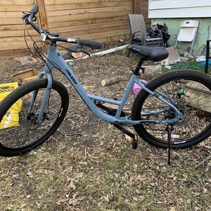 Raleigh Delta city Blue