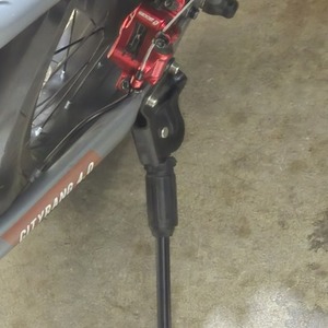 2024 Sasikeibike or EUY Vefreedom cityrang 4.0 Silver, gray or bare metal and Black