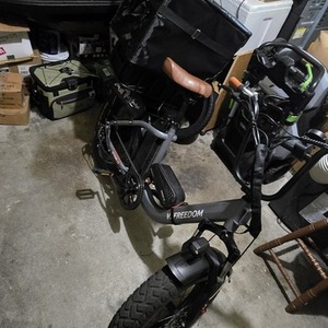2024 Sasikeibike or EUY Vefreedom cityrang 4.0 Silver, gray or bare metal and Black