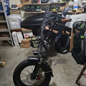 2024 Sasikeibike or EUY Vefreedom cityrang 4.0 Silver, gray or bare metal and Black