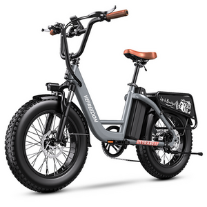 2024 Sasikeibike or EUY step-through Silver, gray or bare metal and Black