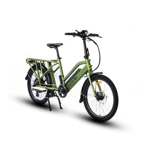 Eunorau MAX-CARGO 2.0 Green