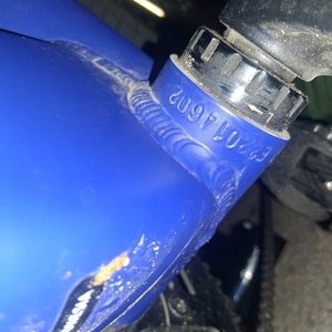 REI Co-op Blue