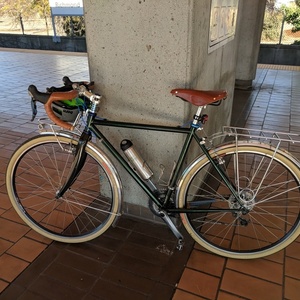 2010 Surly CROSS CHECK Green