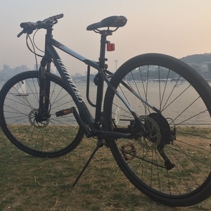 Specialized Ariel Sport Disc Black