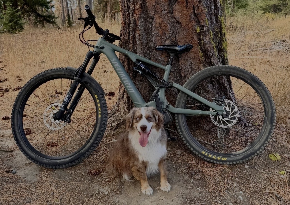 Bike photo
