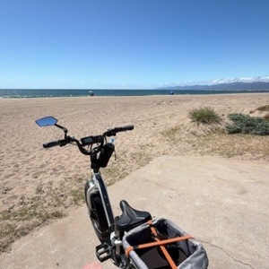 2025 Rad Power Bikes RadExpand 5 White and Black