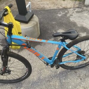 Swift Mountain Bike Blue