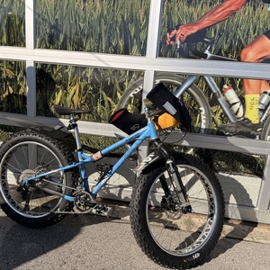 2017 Surly Ice Cream Truck