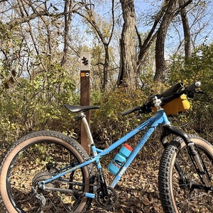 2017 Surly Ice Cream Truck Blue