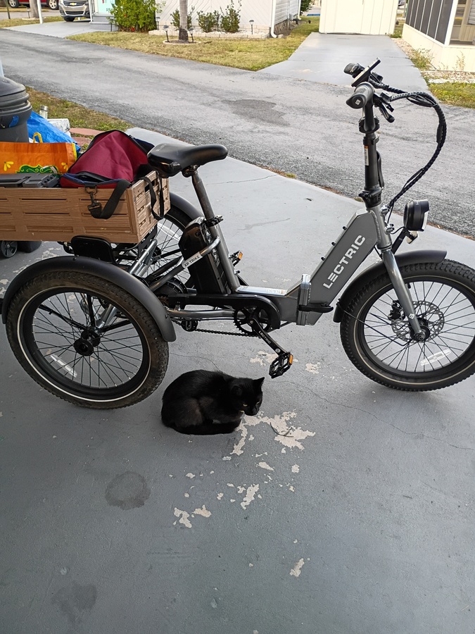 Bike photo