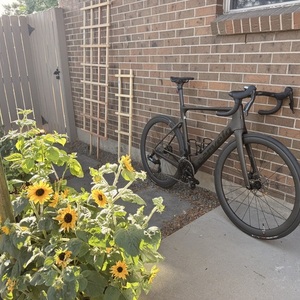 2026 Cervélo Soloist Rival AXS Black