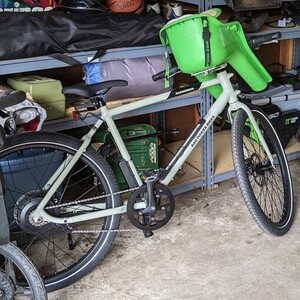 2022 Rad Power Bikes Radmission Silver, gray or bare metal