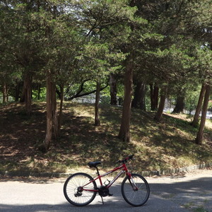 Specialized Hotrock 24 Boys Red