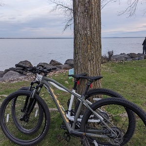 SCOTT Aspect 970 Green