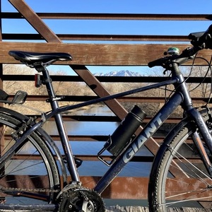 2016 Giant Escape 2 Blue