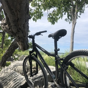 Giant Giant (black) Black