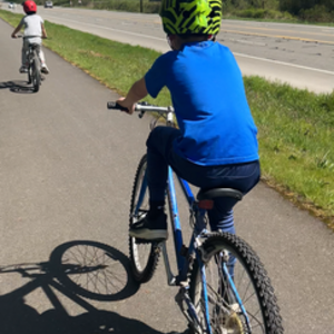 Schwinn Blue