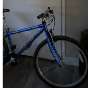 Schwinn Blue
