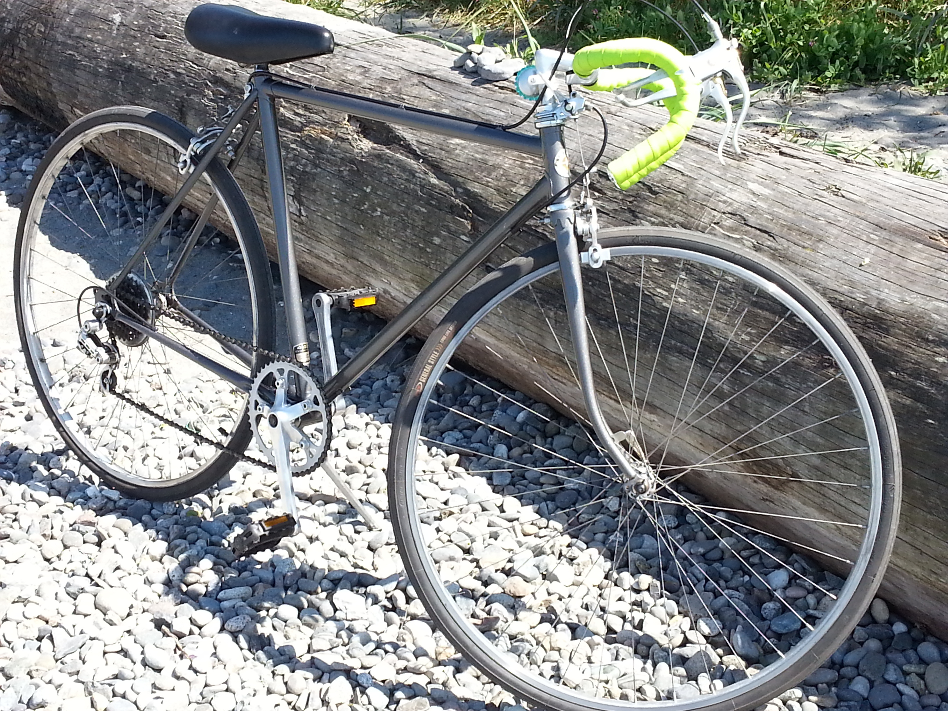 schwinn gs25
