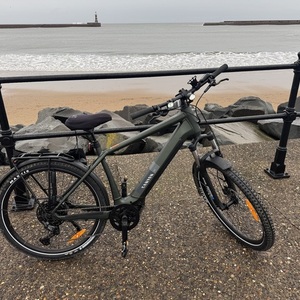 2024 Canyon bicycles Pathlite:ON 4 SUV Green
