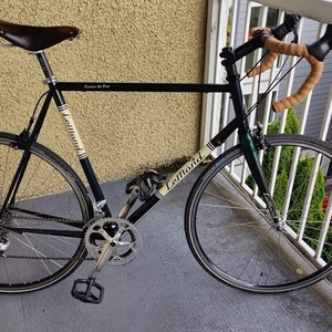 2012 LeMond Croix de Fer Green and White