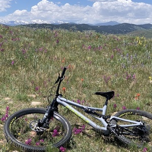 Specialized Stumpjumper Silver, gray or bare metal
