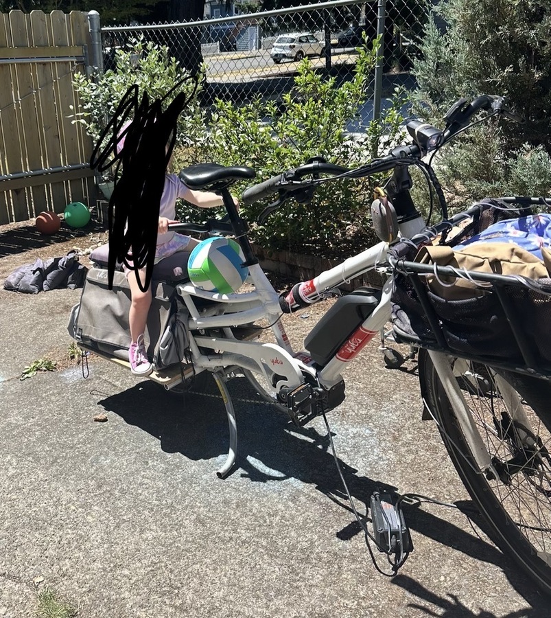 Cargo Bike Rear photo