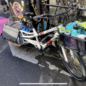 2017 Yuba Spicy Curry cargo bike rear White and Red