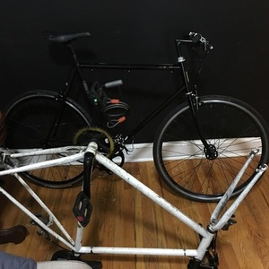 2016 Fuji Feather Black