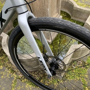 2025 Hylx Leox Silver, gray or bare metal