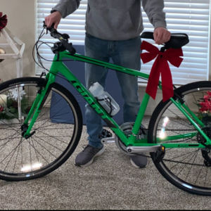 2019 Giant Escape Green