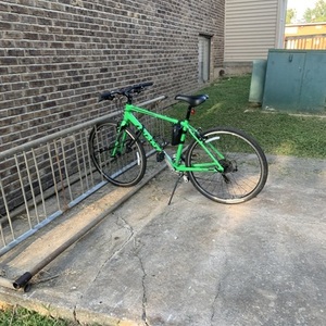 2019 Giant Escape Green