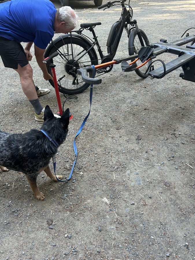 Bike photo