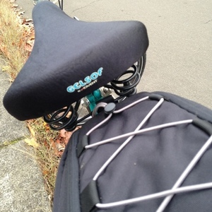 1988 Schwinn bar across/ horse type mount Teal