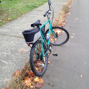 1988 Schwinn bar across/ horse type mount Teal