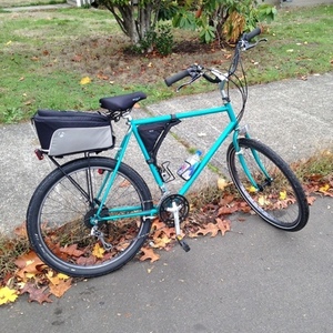 1988 Schwinn bar across/ horse type mount Teal